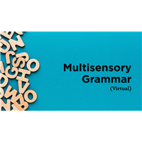 Multisensory Grammar (Virtual) Multisensory Grammar (Virtual)